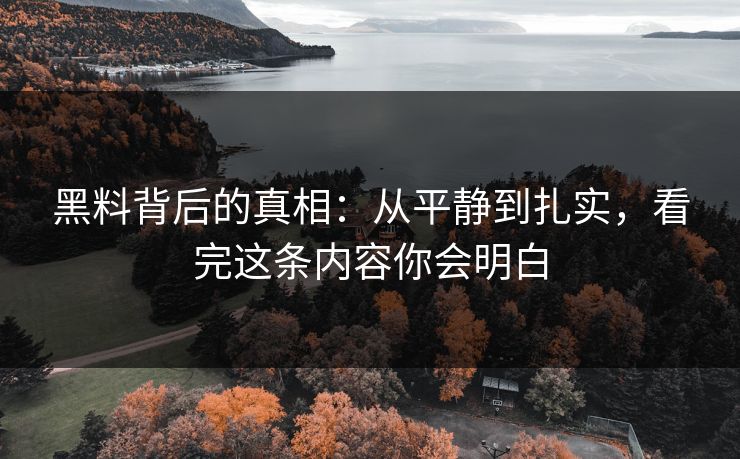 黑料背后的真相：从平静到扎实，看完这条内容你会明白